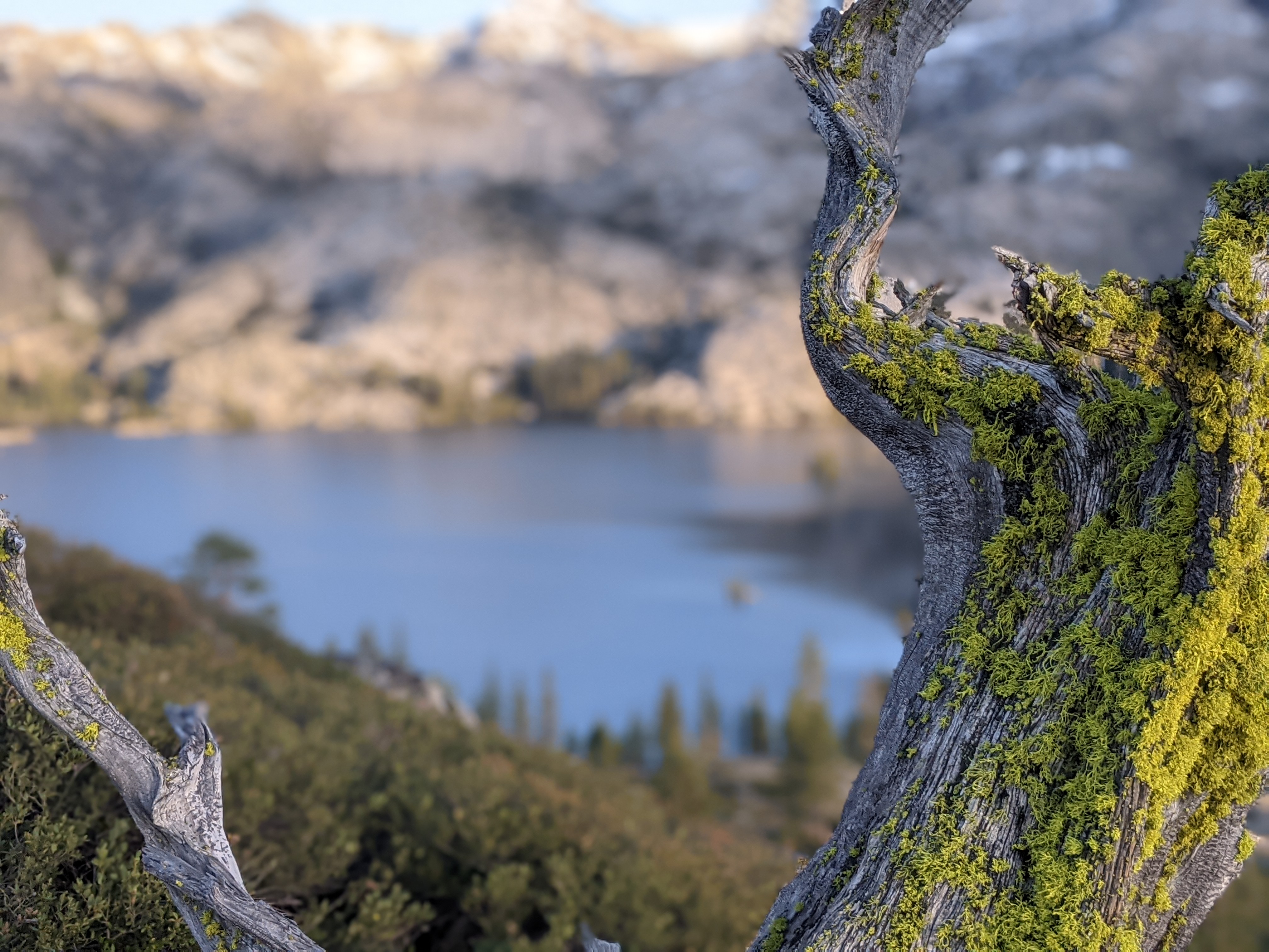 Northern Nevada Landscape